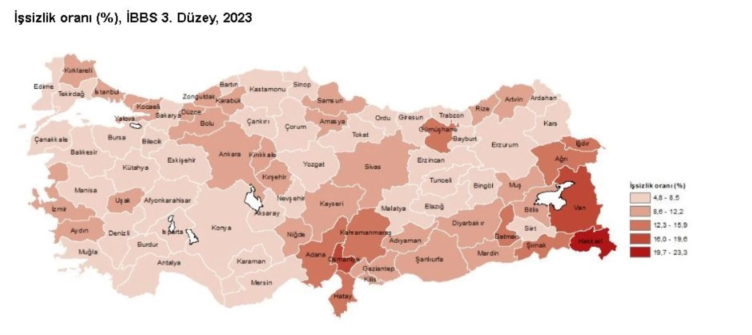2023 Yılında İşsizlik Oranı En Yüksek Hakkari, En Düşük Sinop Oldu